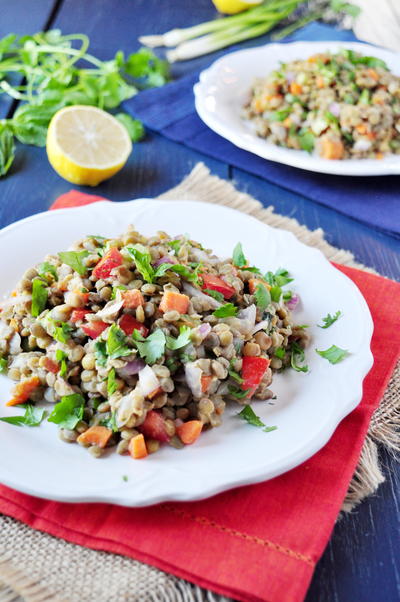 Mediterranean Lentil Salad Mediterranean Lentil Salad
