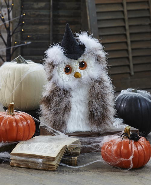 Halloween Harvest Owl