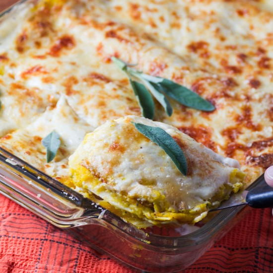 Sage Havarti Butternut Squash Lasagna Sage Havarti Butternut Squash Lasagna