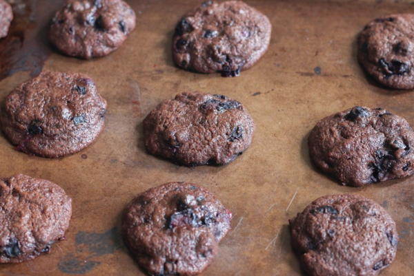 Chocolate Blueberry Cookies Chocolate Blueberry Cookies