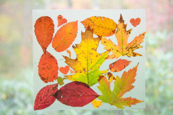 Autumn Leaf DIY Suncatchers