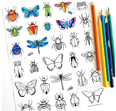 Butterflies and Bugs Coloring Page