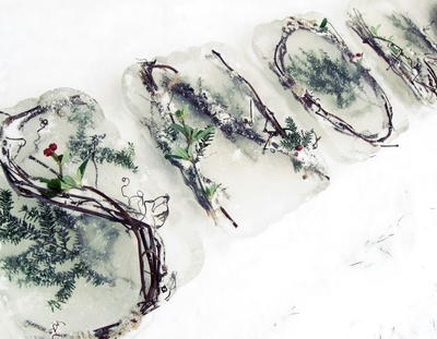 Frozen Nature DIY Outdoor Decor