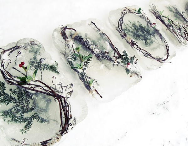 Frozen Nature DIY Outdoor Decor Frozen Nature DIY Outdoor Decor