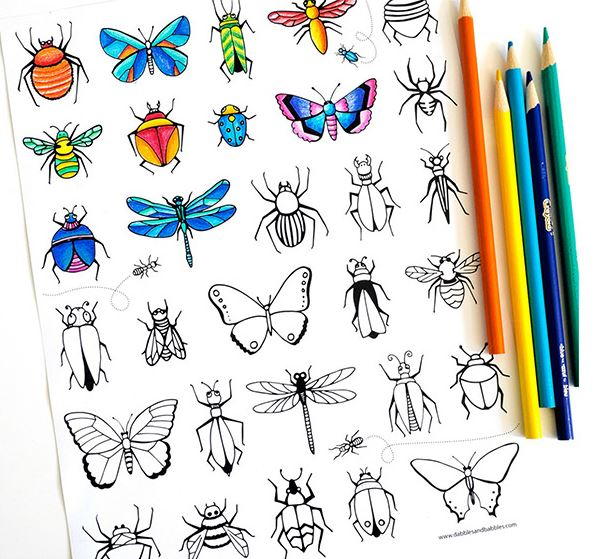 Bug And Butterfly Coloring Page Allfreepapercrafts Com