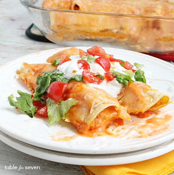 Freezable Chicken Enchilada Bake Freezable Chicken Enchilada Bake