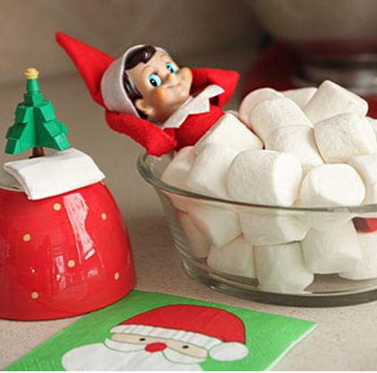 Elf on the Shelf Ideas Guide