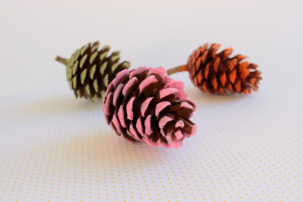 Painted Pine Cones Painted Pine Cones