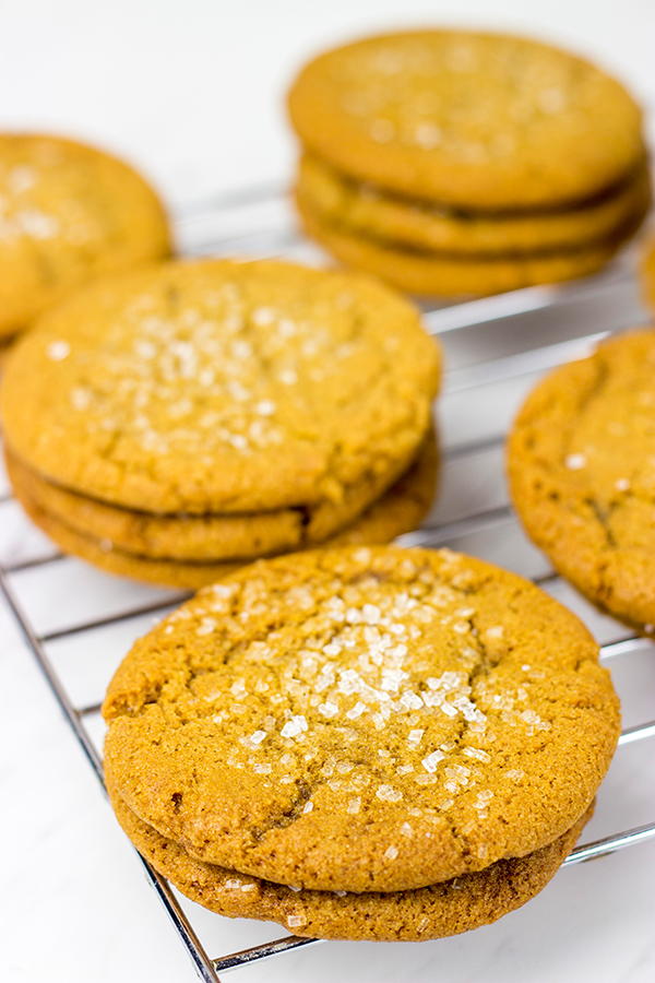 Chewy Molasses Cookies