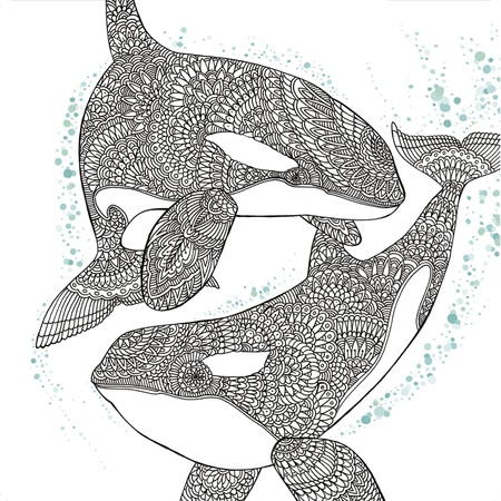Orca Whale Coloring Page Favecrafts Com