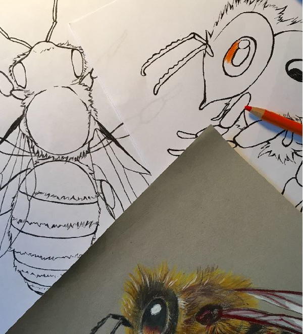 Realistic Honey Bee Coloring Pages Realistic Honey Bee Coloring Pages