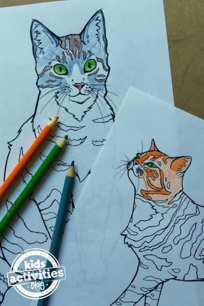 Cute Cat Coloring Page