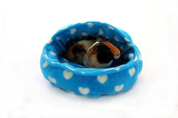 Small Animal Snuggle Pod Tutorial