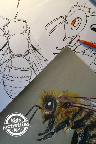 Honey Bee Coloring Pages