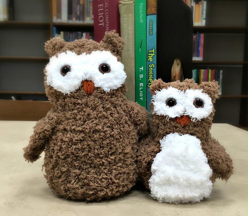 Pipsqueak Owl Pipsqueak Owl