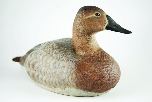 Photography by Jeff Smith - Courtesy Allen and Marshall Auctioneers