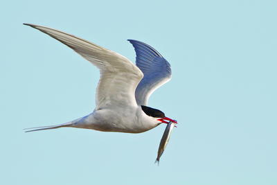 Photography by Glenn Bartley