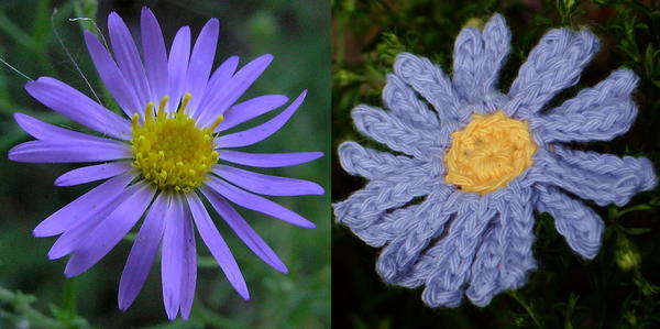 Aster Crochet Flower Aster Crochet Flower