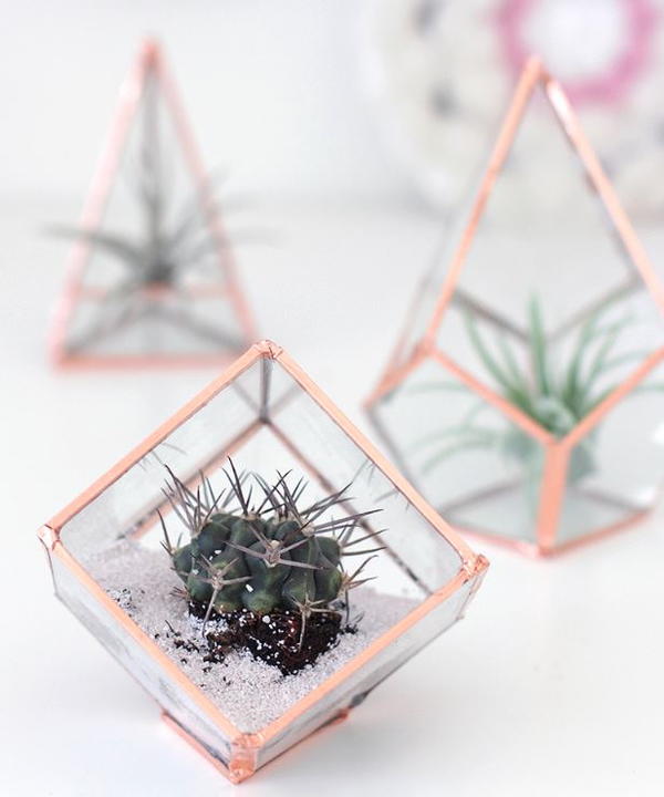Gorgeous DIY Glass Terrarium Gorgeous DIY Glass Terrarium