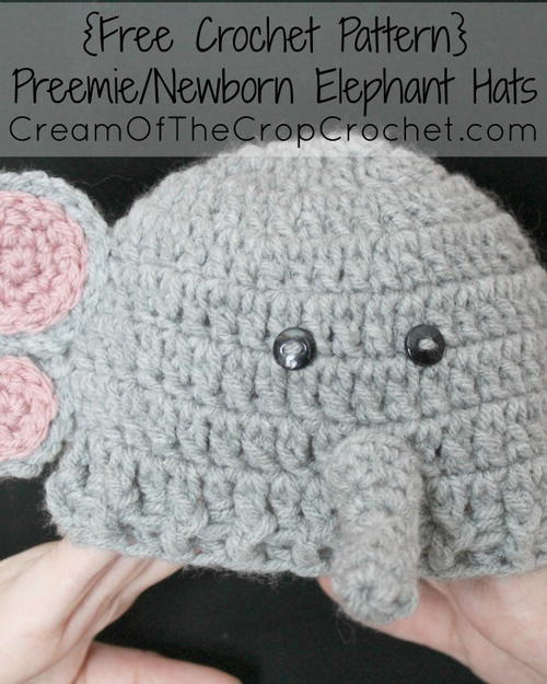 PreemieNewborn Elephant Hat Preemie/Newborn Elephant Hat