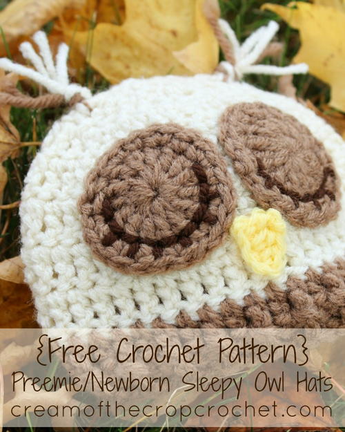 PreemieNewborn Sleepy Owl Hat Preemie/Newborn Sleepy Owl Hat