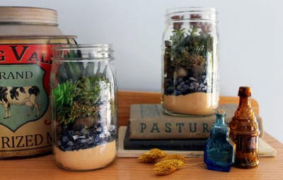 Terrarium in a Mason Jar Gift Idea