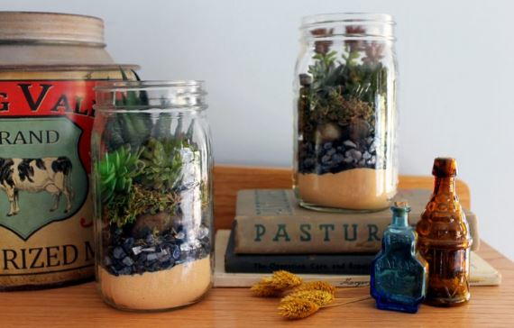 Terrarium in a Mason Jar Gift Idea Terrarium in a Mason Jar Gift Idea