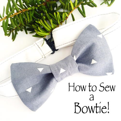 How to Adjust a Bow Tie pictures pictures How to Adjust a Bow Tie