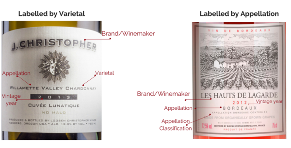 How to Read Wine Labels by Grape Name Infographic