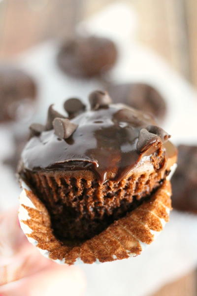 Double Chocolate Mocha Cupcakes Double Chocolate Mocha Cupcakes
