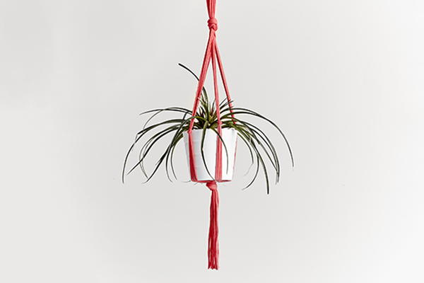 Chic DIY Plant Hanger Chic DIY Plant Hanger