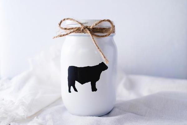 Adorable Farmhouse Mason Jar Craft Adorable Farmhouse Mason Jar Craft