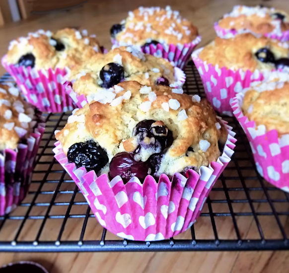 Blueberry Muffins Blueberry Muffins