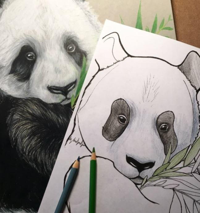 Adorable Panda Coloring Pages Panda Printable Coloring Pages
