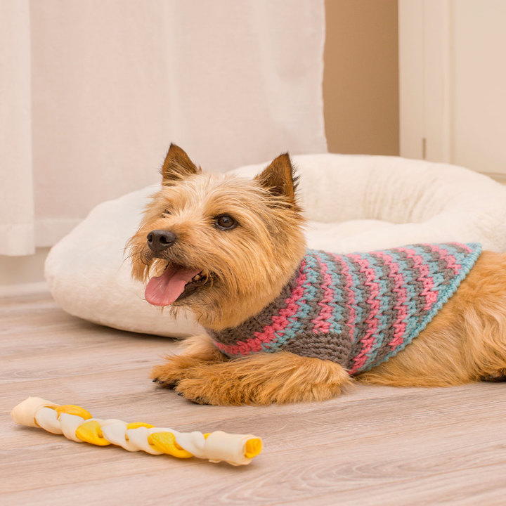 Ladida Dog Sweater Ladida Dog Sweater