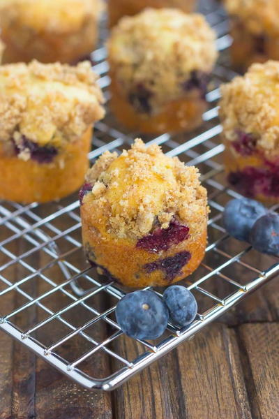 Blueberry Coffee Cake Bites Blueberry Coffee Cake Bites
