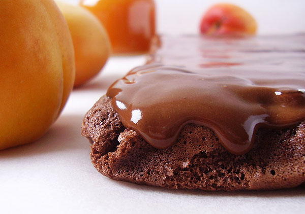 Double Chocolate Sacher Brownies Double Chocolate Sacher Brownies