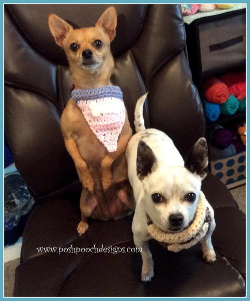 Slide On Cotton Dog Bandanna Slide On Cotton Dog Bandanna