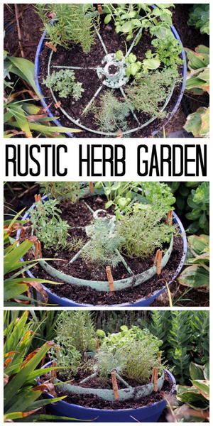 Rustic Herb Garden Rustic Herb Garden