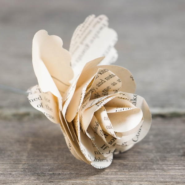 Romantic Book Page Rose Romantic Book Page Rose