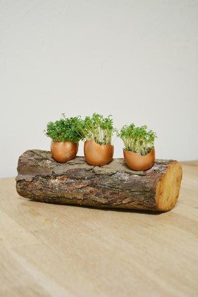 Easter Table Decoration Easter Table Decoration