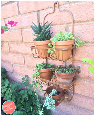 Shower Caddy as a Vertical Wall Planter Shower Caddy as a Vertical Wall Planter