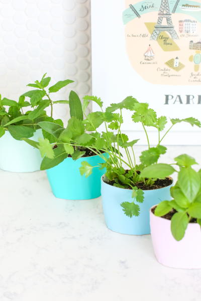 Recycled Indoor Herb Garden Recycled Indoor Herb Garden