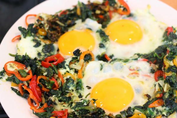 Fiesta Eggs Fiesta Eggs