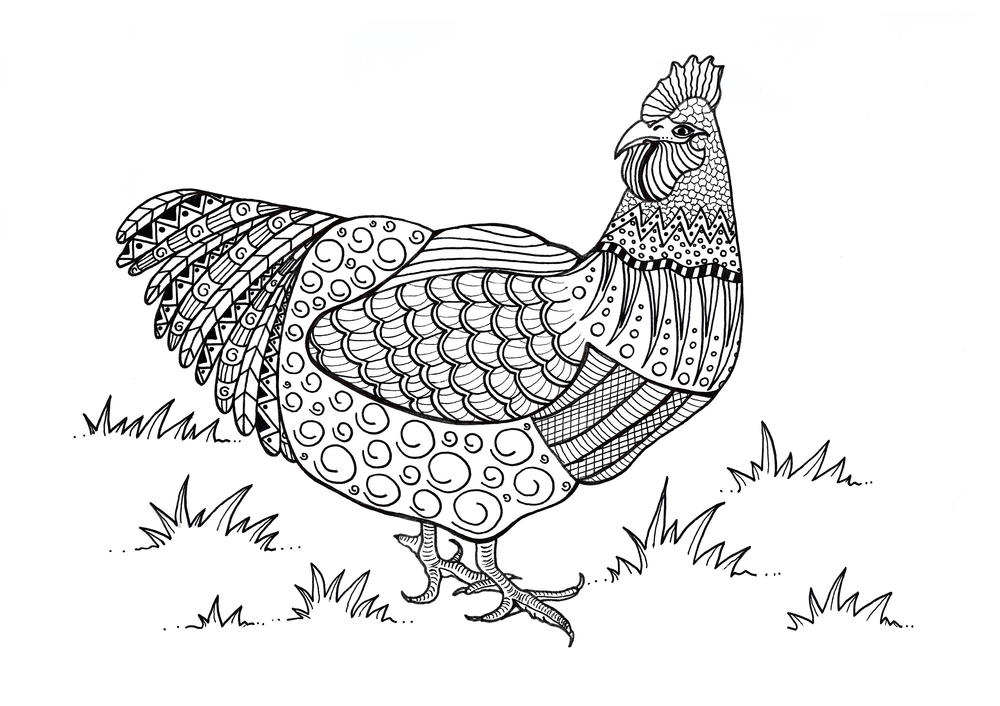 Colorful Chicken Adult Coloring Page | FaveCrafts.com