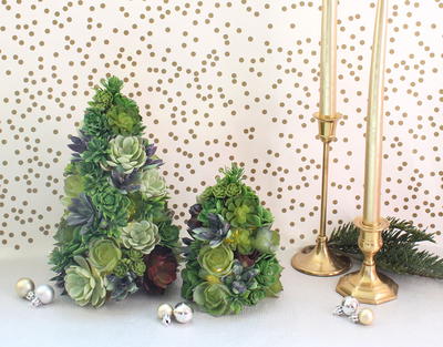 DIY Succulent Christmas Tree DIY Succulent Christmas Tree