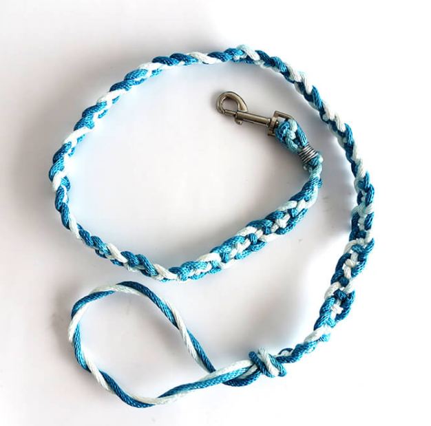 Easy DIY Braided Dog Leash Easy DIY Braided Dog Leash