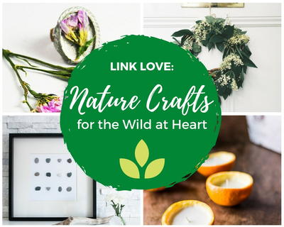 Link Love: 15 Nature Crafts for the Wild at Heart