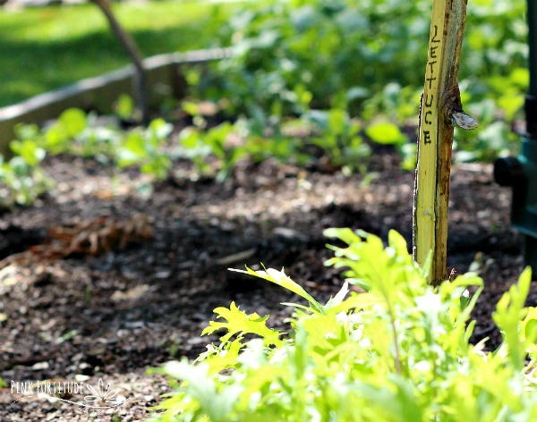 DIY Twig Garden Markers DIY Twig Garden Markers