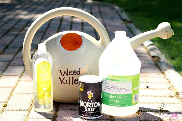 All Natural Weed Killer DIY All Natural Weed Killer DIY